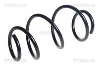 1X Fahrwerksfeder Triscan 8750 25137 FüR Renault ZOE Electric Bfma Bfmb Bfmc
