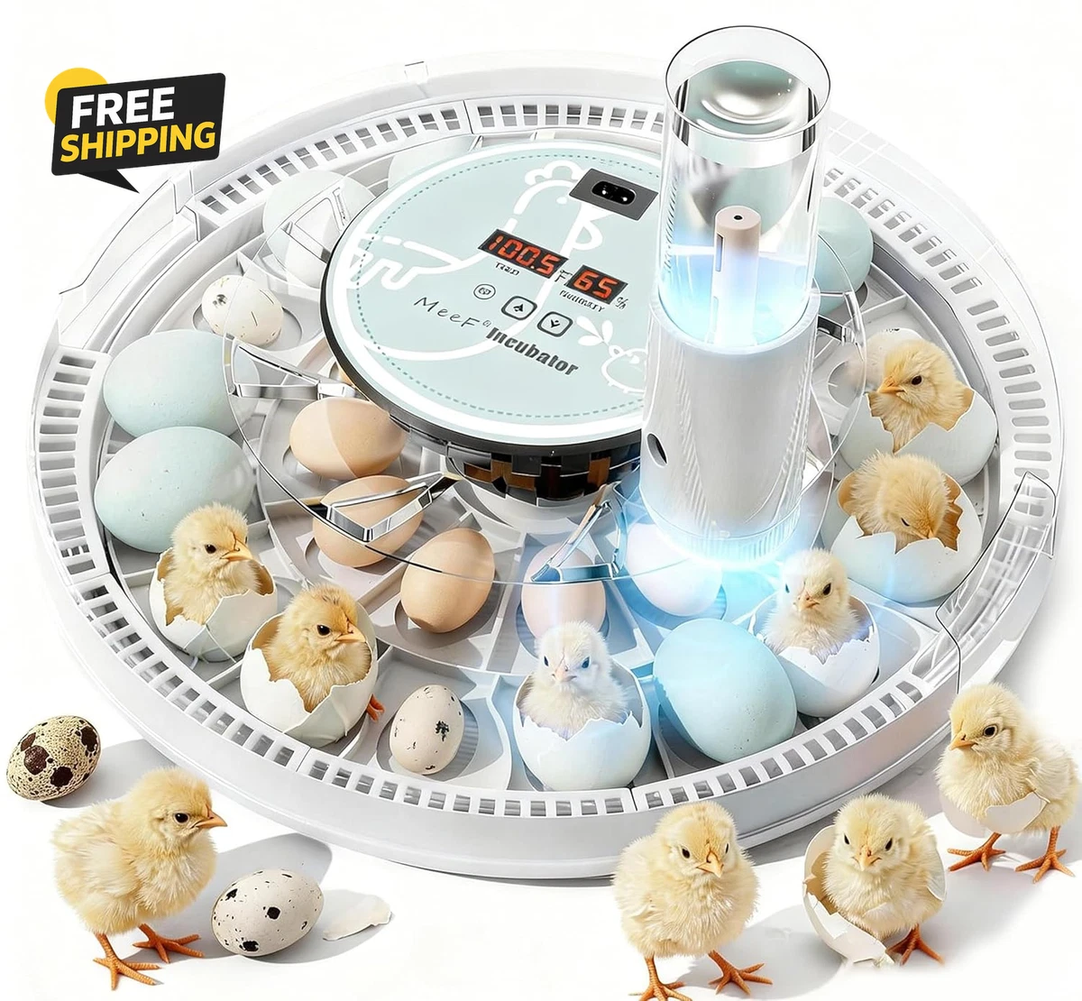 鸟孵化器| eBay