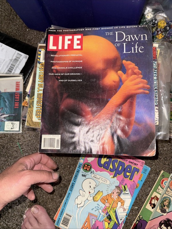 Life Magazine November 1996 The Dawn of Life ~ Photos of Life Before Birth