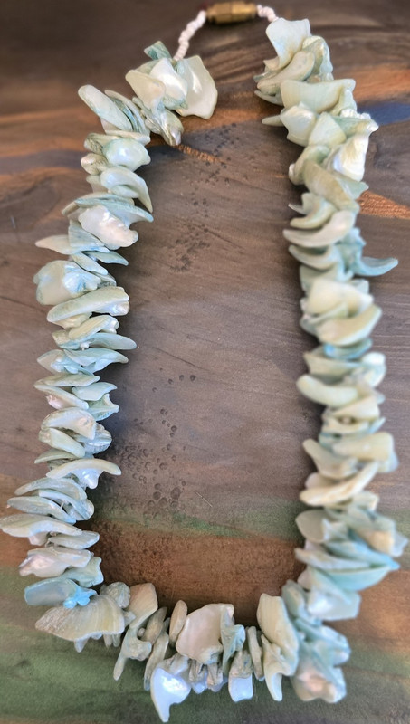 Handmade Blue dyed Clam Shell Necklace with White Beads & Barrel Clasp