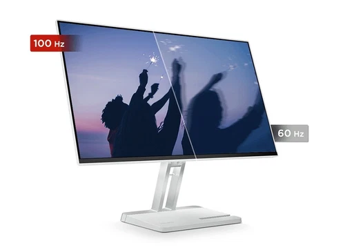 LENOVO L24M-4A Gris 67BDUAC6EU