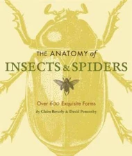 The Anatomy of Insects & Spiders: Over 600 Exquisite Forms - Paperback - GOOD