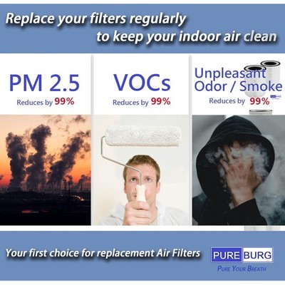 2-Pack H13 True HEPA Filters for Afloia Air Purifiers - Maximum Air Quality