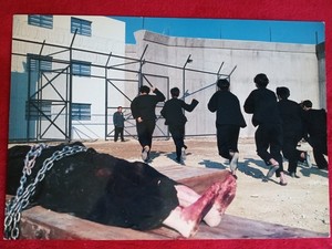 RIKI-OH: THE STORY OF RICKY -RARE Original Golden Harvest Front of House Still F