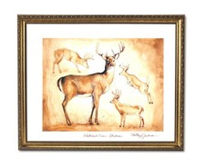 Whitetail Buck Deer Big Antler Rack Animal Wildlife Wall Picture Gold Framed Art