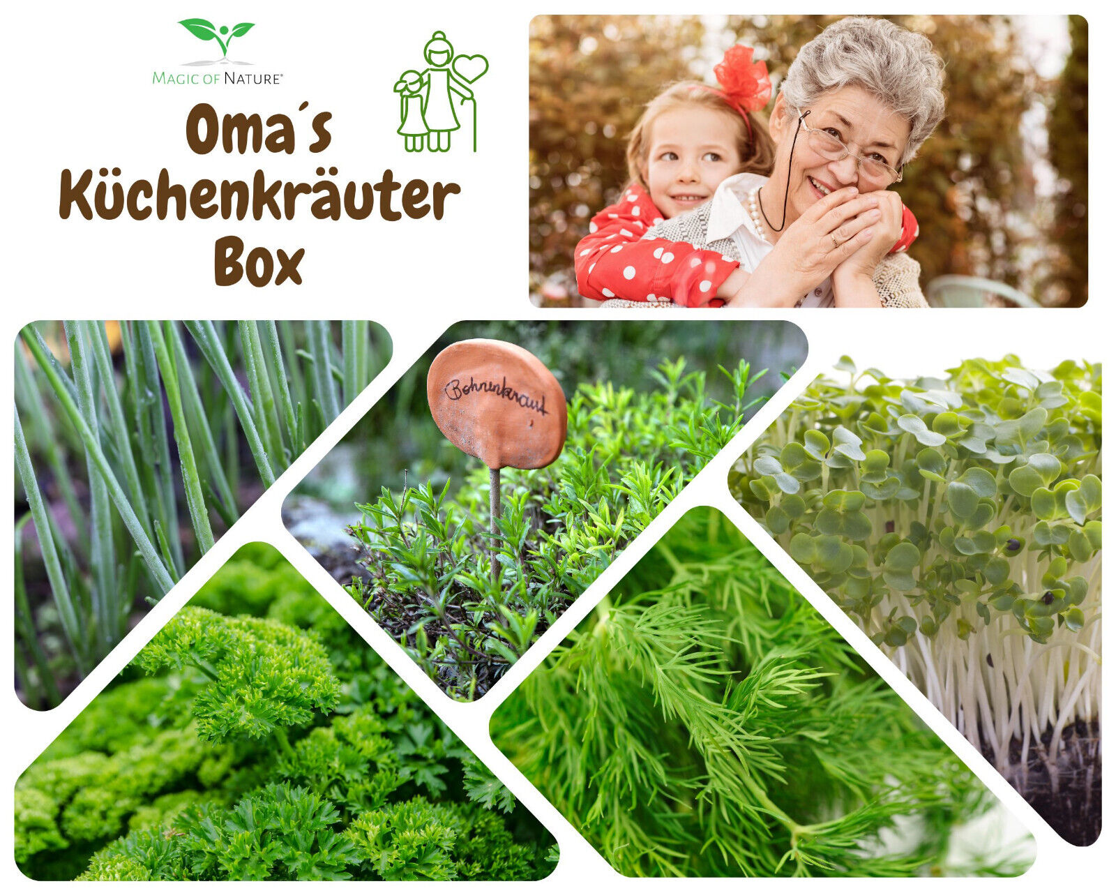 Bild 6 von 7