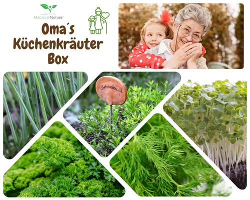 Oma`s Küchenkräuter Box - Anzuchtset - 5 Sorten Kräuter Samen - TOP Geschenkidee - Bild 6 von 7