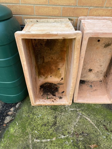 Terracotta Pot Large Rectangular - Picture 2 of 6