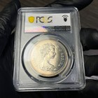 Picture 6 of 6