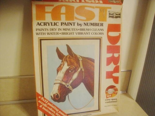 Vintage 1974 PAINT BY NUMBER The Champion HORSE 9 x 12 Hobby Kit NEEDS YOU!