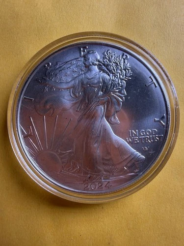 2024-(P) 1 oz American Silver Eagle Coin BU (Star Privy) In Capsule