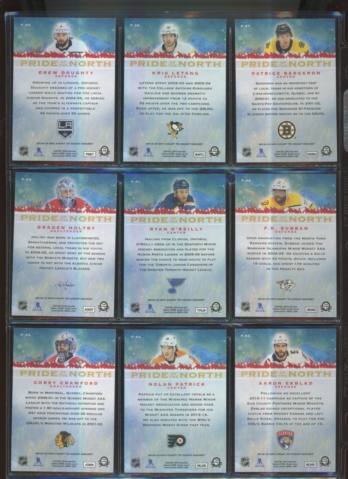 Picture 10 of 14