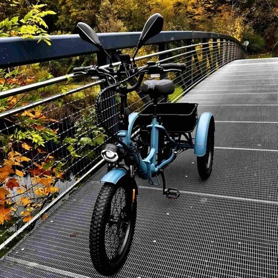 20 Zoll Elektrofahrrad Dreirad 3-Rad e-Bike mit Korb 48V 21Ah FAFREES F20 mate