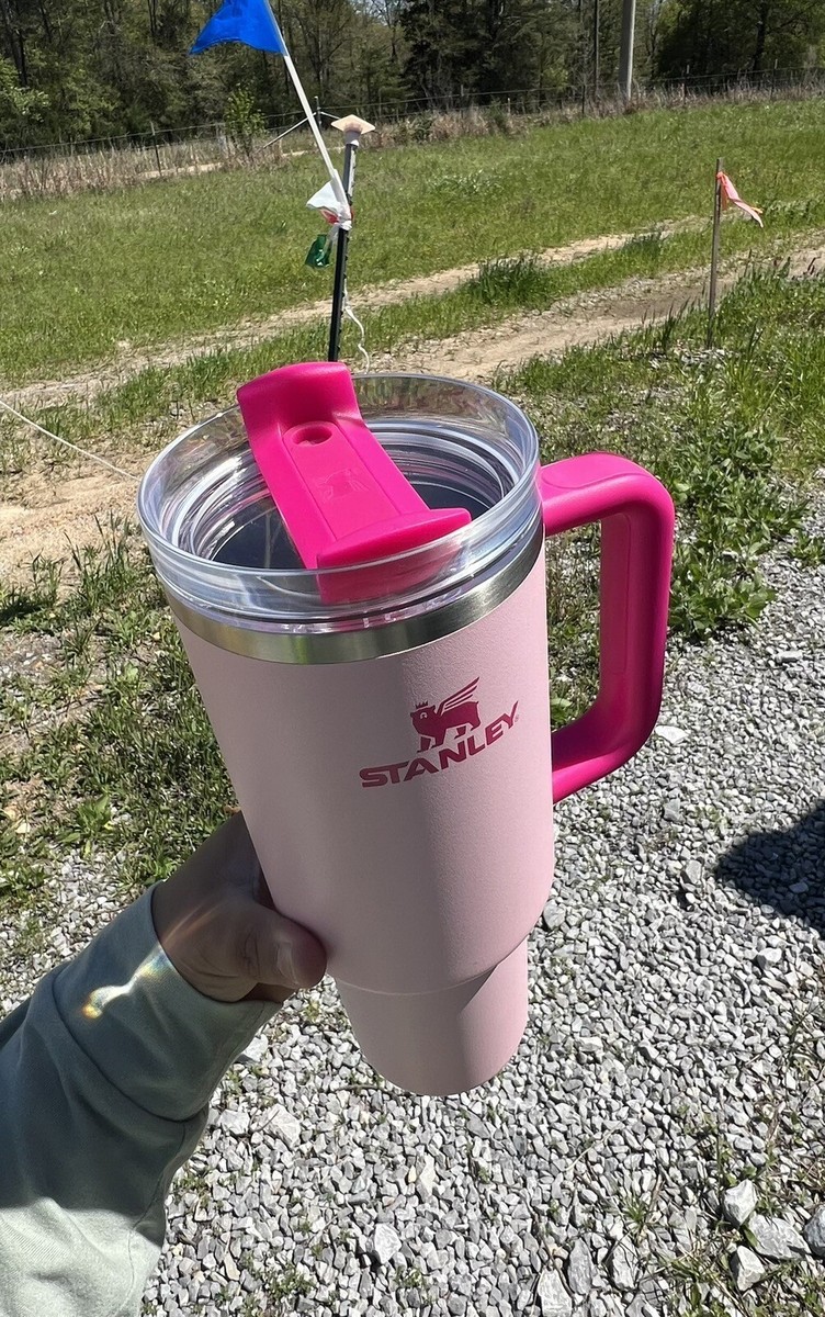 LIMITED EDITION Flamingo Stanley 40 oz Stainless Steel