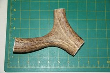 Large Upper Elk Antler Dog Chew 55 / bone chews moose treats deer 1106