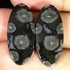 24.70Cts Natural Black Fossilized Coral Oval Pair Loose Gemstone