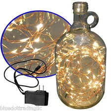 Warm White 10M/32FT 100 LED Copper Wire LED String Fairy Lights Lamp+ DC Adapter