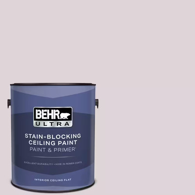 1 Gal. #PPU16-07 Mystic Fairy Ceiling Flat Interior Paint & Primer