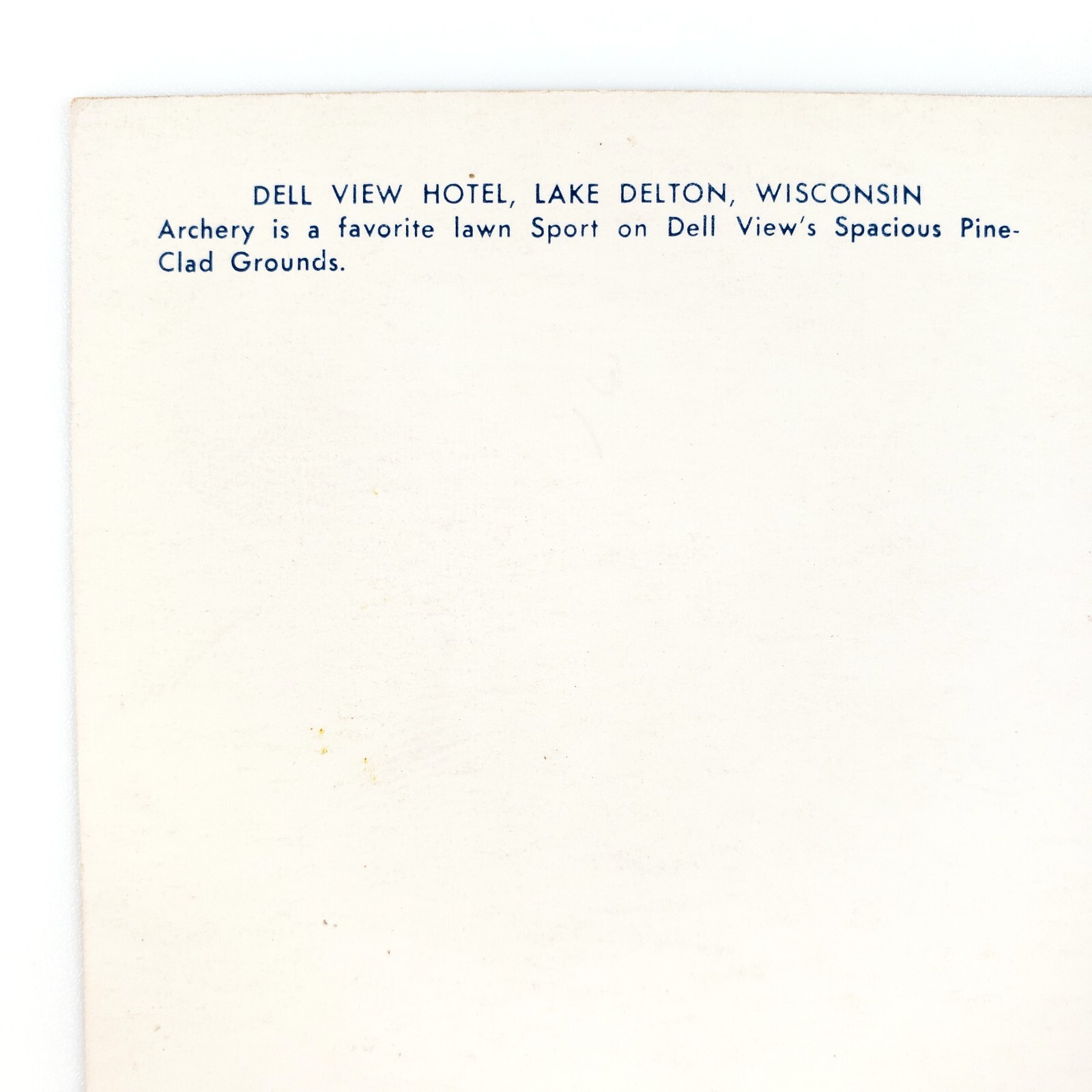 Dell View Hotel Archery Postcard 1950s Lake Delton Wisconsin Dells