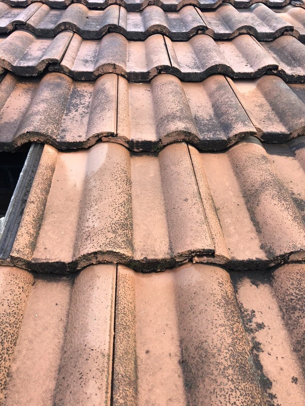Tile Mythbusting