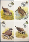 XE60236 Belgium 2002 -2004 animals fauna flora birds maxicards used