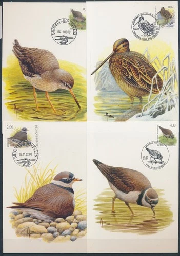 XE60236 Belgium 2002 -2004 animals fauna flora birds maxicards used