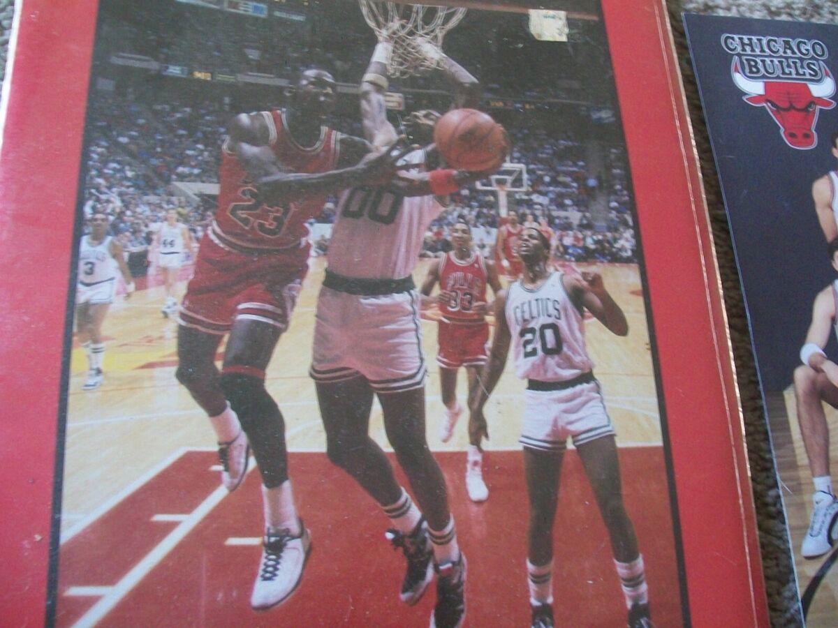 NBA 1995 - 96 Chicago Bulls Team Picture Color 8 X 10 NBA 1995 - 96 Chicago Bulls Team Picture Color 8 X 10