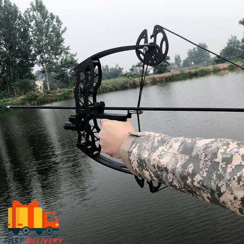 40lbs Hunting Compound Bow Arrow Archery Target Shooting With Archery Sights AU - Picture 2 of 14