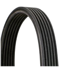 Keilrippenriemen für Seat Toledo 2 1M2 | 24624635