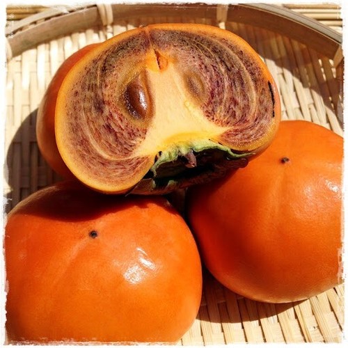 Coffee Cake Japanese Persimmon, Nishimura Wase, 西村早生（にしむらわせ)柿 eBay