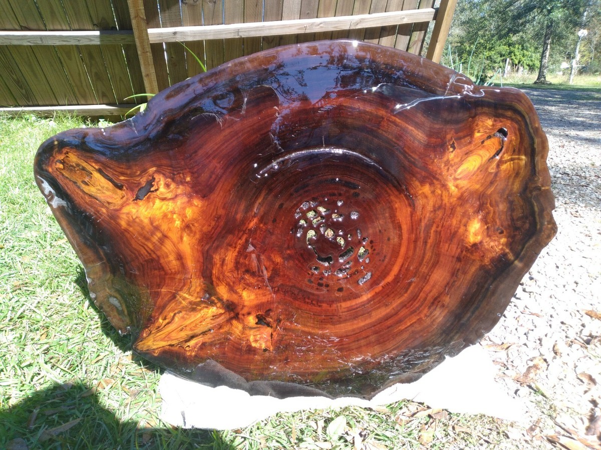 700+ Rings! RARE Saw Cut! Old Growth Ancient Sinker Cypress Wall