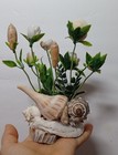 Foto 4 di 6