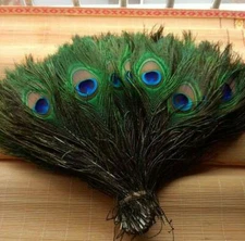 100pcs Natural Peacock Feathers for DIY home holiday decorations wedding party