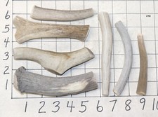7 Deer Antler Dog Chew Treats