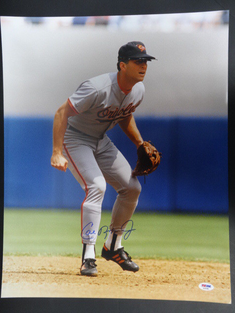 Cal Ripken Jr. Orioles Signed 16x20 Photo Autograph Auto PSA/DNA AE85486