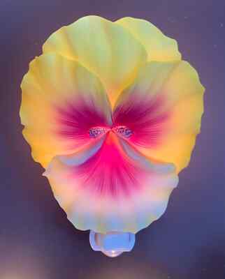 Big Pansy Night Light By Ibis and Orchid Design New In Box