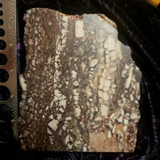 Crazy Horse Or Magnesite Appaloosa Slab, 6 Ounces. Nice Patterns And Colors, Usa
