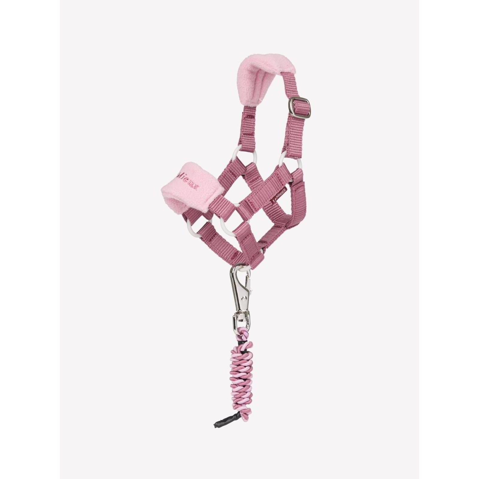 LeMieux Toy Pony Vogue Headcollar and Leadrope Mallow