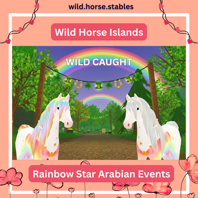 🌈 Wild Horse Islands - Rainbow Star Arabian Events 🌈 | eBay