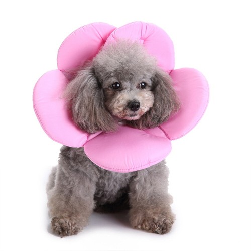 Pet Elizabethan Collar Flower Shape Dog Cat Soft Anti-bite Recover E-Collar Cone - Picture 8 of 10