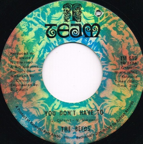 THE BEEDS you don't have to/run to her U.S. TEAM 45rpm TM-519_ garage pop 1968 - Picture 1 of 2