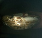 Sea Shells In A Basket - NEW - Factory Sealed #2 — photo 3
