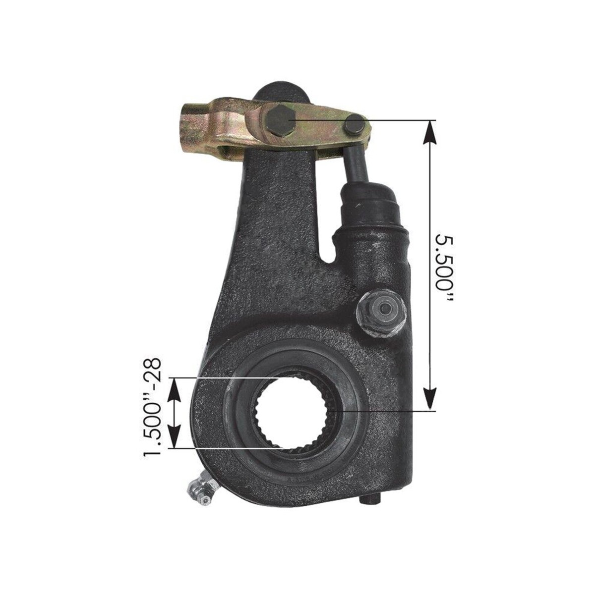 スーツ tozaou Bonding Linen Adjuster Srucks スーツ tozaou Bonding Linen Adjuster Srucks Your Guide to