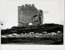 Press Photo Stone structure in Ireland - sra30527