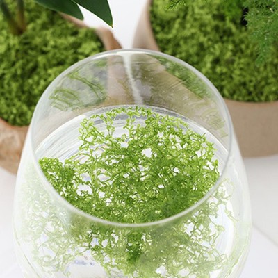 Realistisch aussehender simulierter Rasen für Gartendekoration hellgrün 100g 500g