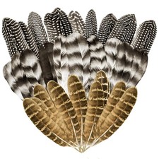 30Pcs Natural Turkey Feathers Craft Pheasant ...