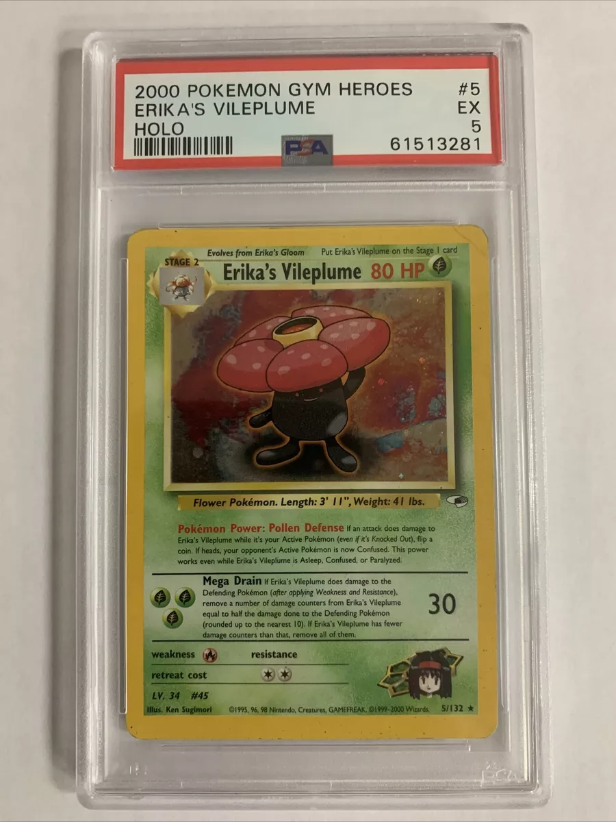 Gym Heroes - Pokemon Plug