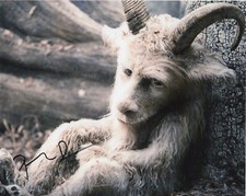 Paul Dano Where the Wild Things Are Autographed Signed 8x10 Photo COA #J3