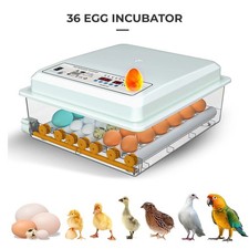 36 Egg Incubator for Hatching Eggs, Chicken Incubator with Automatic Turner US