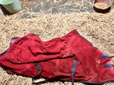 Red Fleece Rug Horse